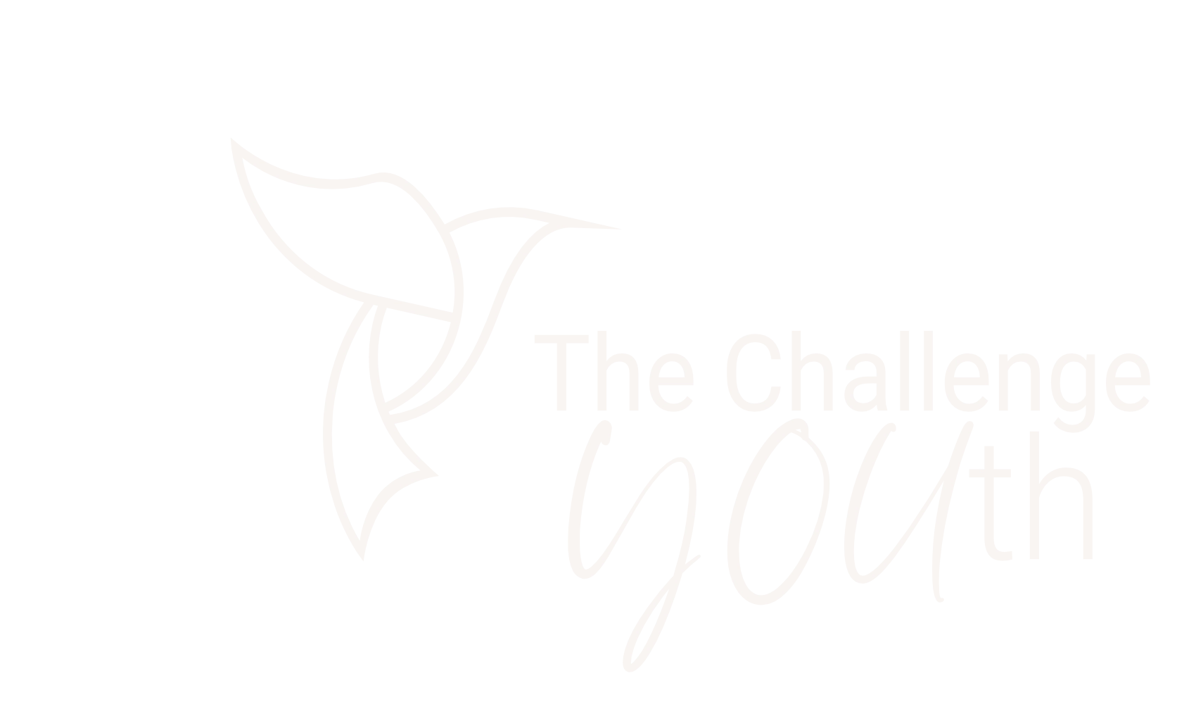 The Challenge Youth