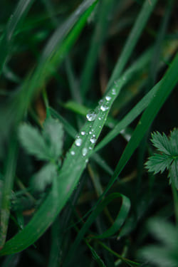 achtsamkeit Wienerwald