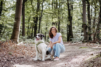 psychologie bewegt wien